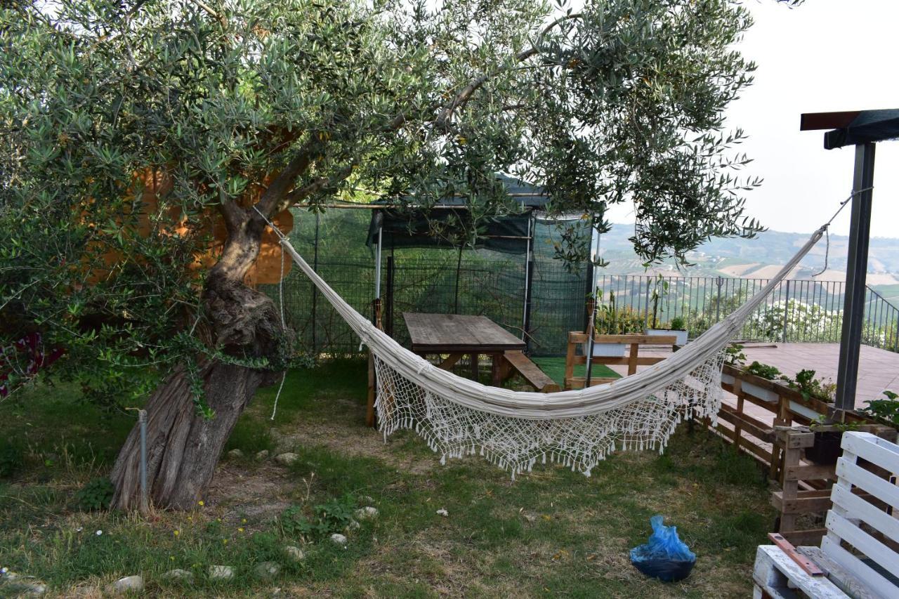 La Villa In Campagna Città Sant'Angelo Eksteriør billede